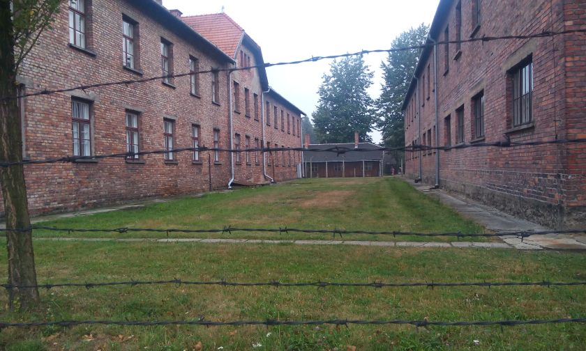 Auschwitz_barbed wire