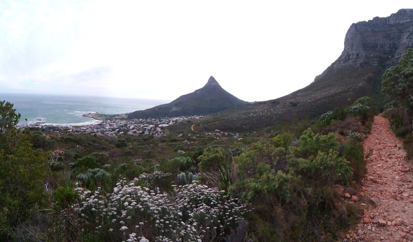 SA_cape town early part of table mtn hike on backside